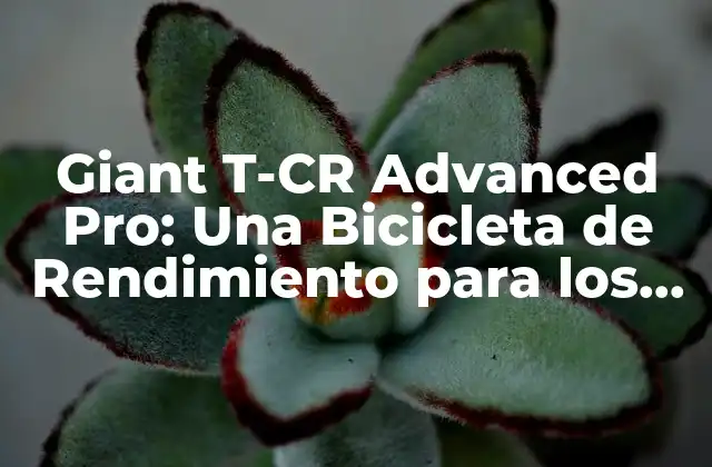 Giant T-cr Advanced Pro: una Bicicleta de Rendimiento para los Más Exigentes