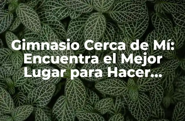 Gimnasio Cerca de Mí: Encuentra el Mejor Lugar para Hacer Ejercicio