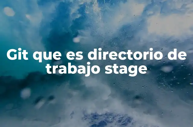 Git que es Directorio de Trabajo Stage