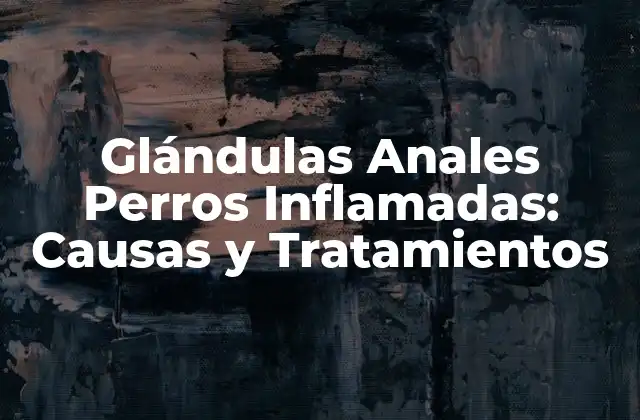 Glándulas Anales Perros Inflamadas: Causas y Tratamientos