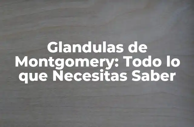 Glandulas de Montgomery: Todo Lo que Necesitas Saber