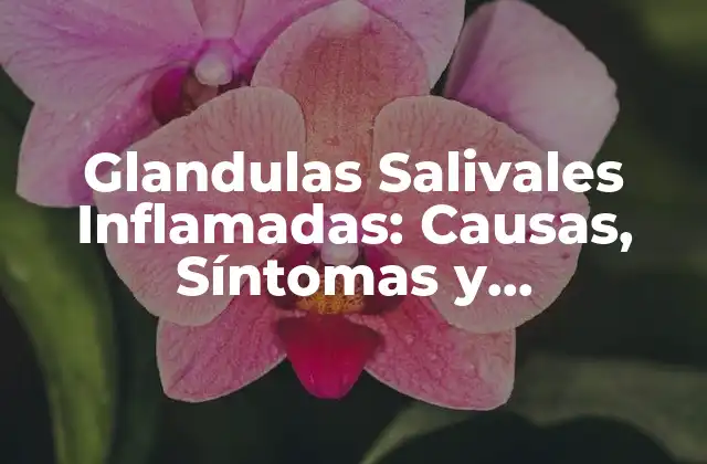 Glandulas Salivales Inflamadas: Causas, Síntomas y Tratamiento 2 ¿Qué son las Glandulas Salivales Inflamadas?