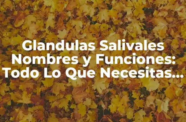 Glandulas Salivales Nombres y Funciones: Todo Lo que Necesitas Saber