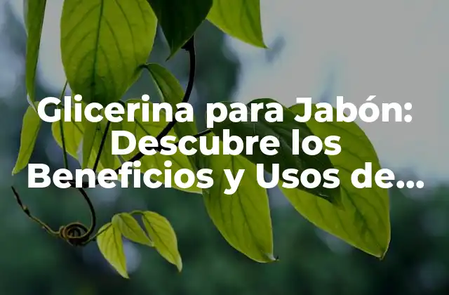 Glicerina para Jabón: Descubre los Beneficios y Usos de Esta Sustancia Natural