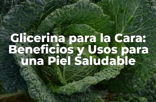Glicerina para la Cara: Beneficios y Usos para una Piel Saludable