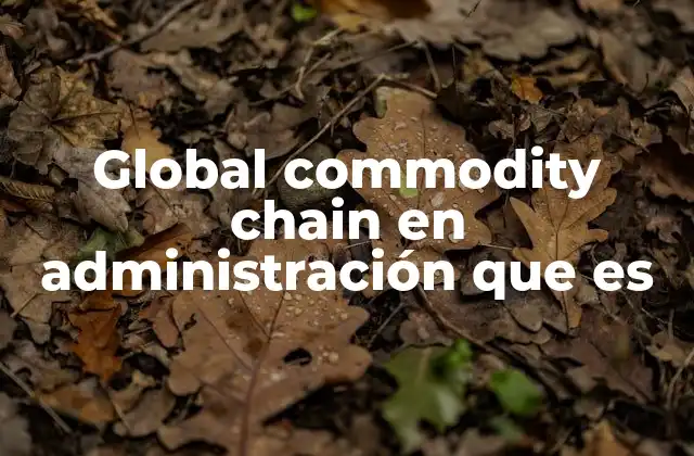 Global Commodity Chain en Administración que es
