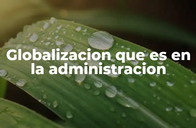 Globalizacion que es en la Administracion