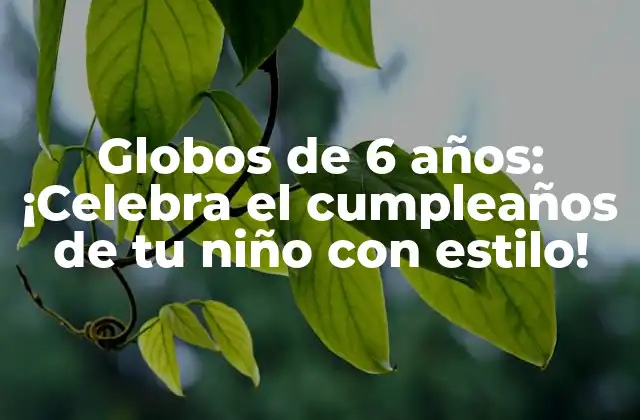 Globos de 6 Años: ¡celebra el Cumpleaños de Tu Niño con Estilo!