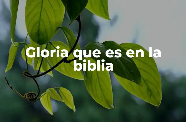 Gloria que es en la Biblia