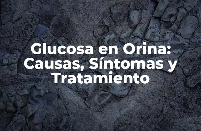 Glucosa en Orina: Causas, Síntomas y Tratamiento