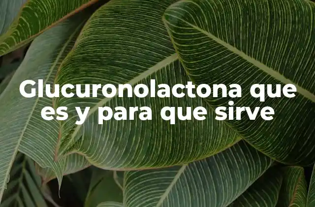 Glucuronolactona que es y para que Sirve