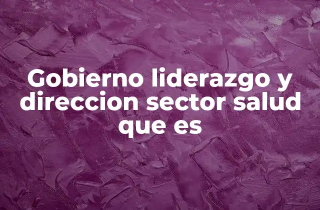 Gobierno Liderazgo y Direccion Sector Salud que es