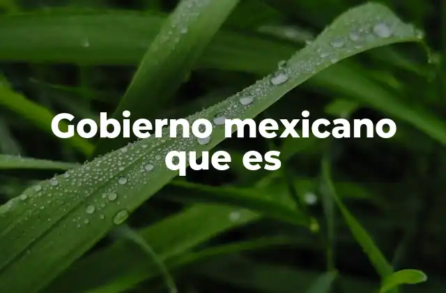 Gobierno Mexicano que es