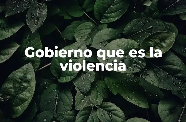 Gobierno que es la Violencia