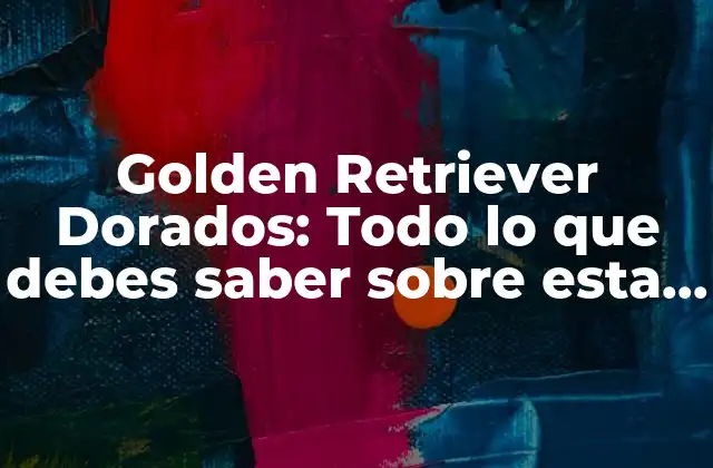 Golden Retriever Dorados: Todo Lo que Debes Saber sobre Esta Raza de Perros