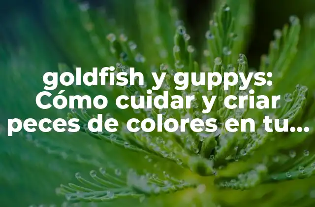 Goldfish y Guppys: Cómo Cuidar y Criar Peces de Colores en Tu Hogar
