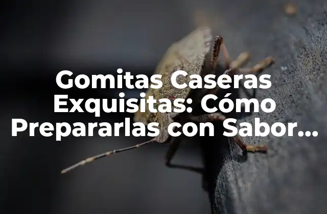 Gomitas Caseras Exquisitas: Cómo Prepararlas con Sabor y Nutrición