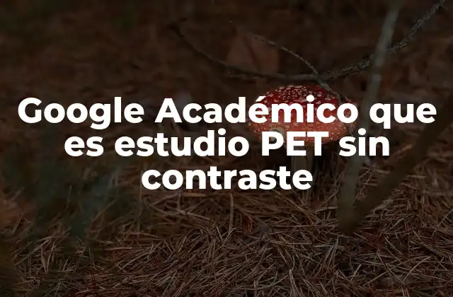 Google Académico que es Estudio Pet sin Contraste