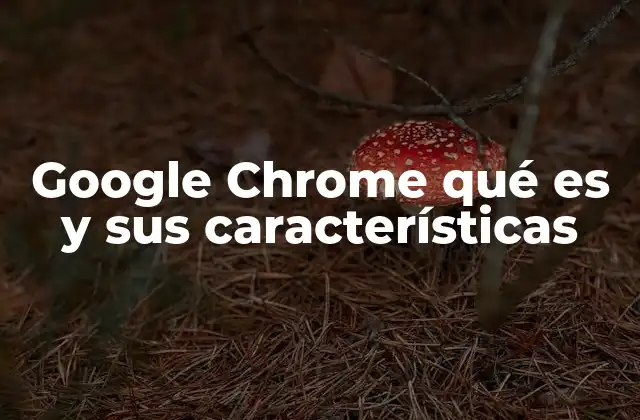 Google Chrome Qué es y Sus Características