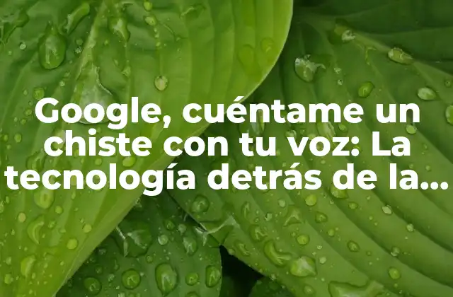 ¿Cómo funciona la tecnología de voz de Google?