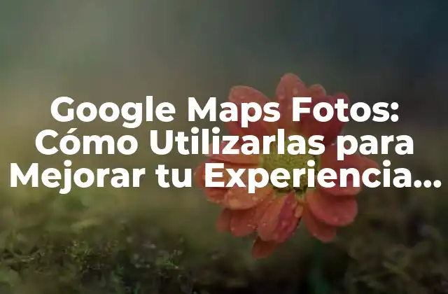 Google Maps Fotos: Cómo Utilizarlas para Mejorar Tu Experiencia de Navegación