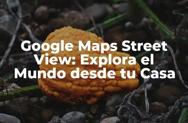 Google Maps Street View: Explora el Mundo desde Tu Casa