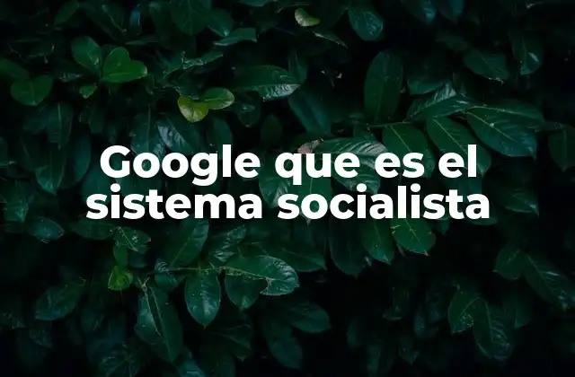 Google que es el Sistema Socialista