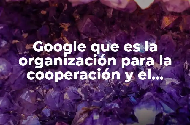 Google que es la Organización para la Cooperación y el Desarrollo
