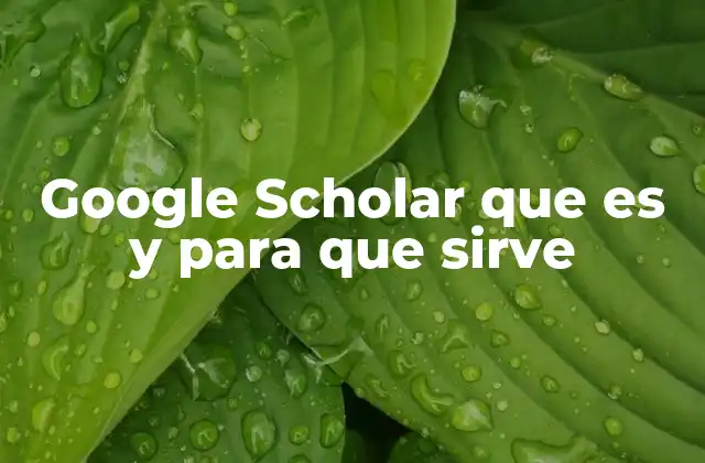 Google Scholar que es y para que Sirve