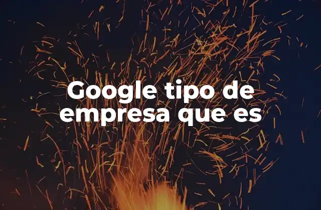 Google Tipo de Empresa que es