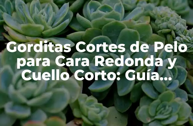 Gorditas Cortes de Pelo para Cara Redonda y Cuello Corto: Guía Completa