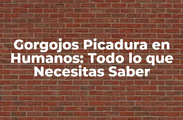 Gorgojos Picadura en Humanos: Todo Lo que Necesitas Saber