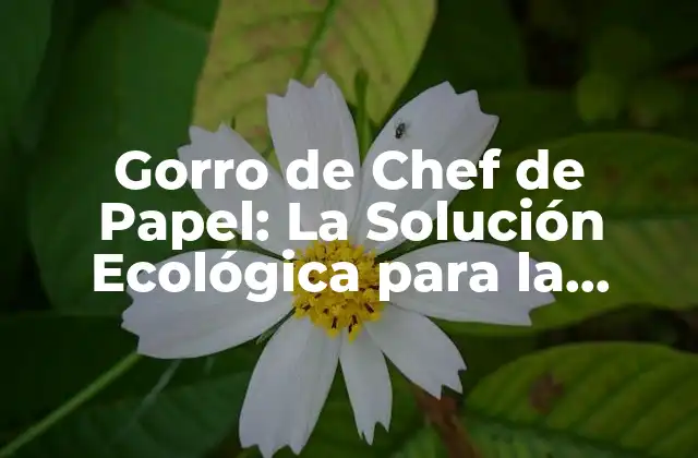 Gorro de Chef de Papel: la Solución Ecológica para la Cocina