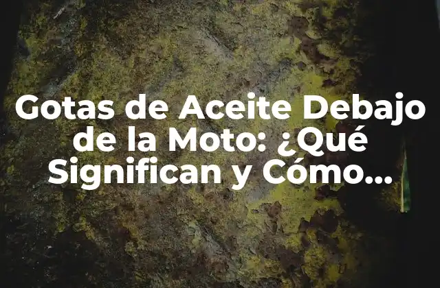 Gotas de Aceite Debajo de la Moto: ¿qué Significan y Cómo Solucionar el Problema?