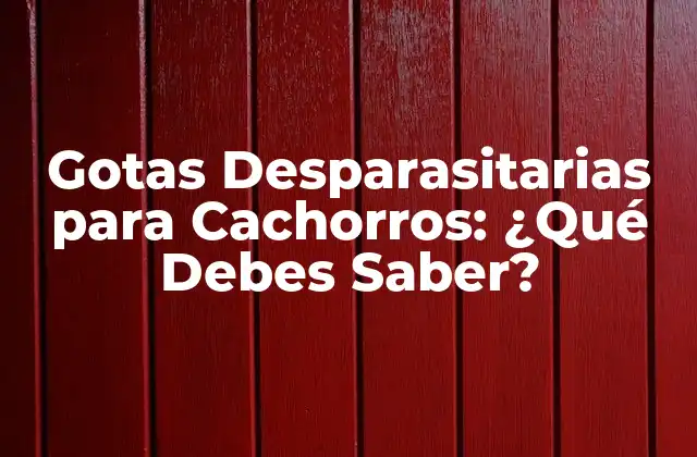 Gotas Desparasitarias para Cachorros: ¿qué Debes Saber?