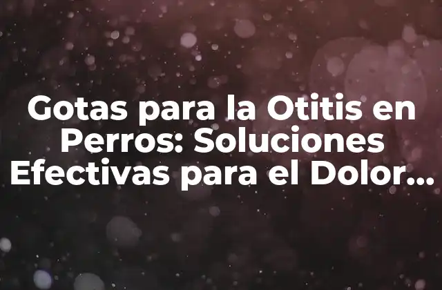 Gotas para la Otitis en Perros: Soluciones Efectivas para el Dolor de Oreja