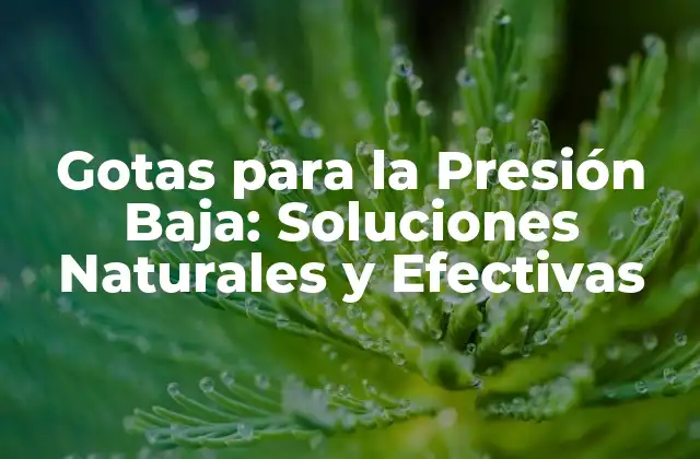 Gotas para la Presión Baja: Soluciones Naturales y Efectivas 2 ¿Cuáles son las Causas de la Presión Baja?