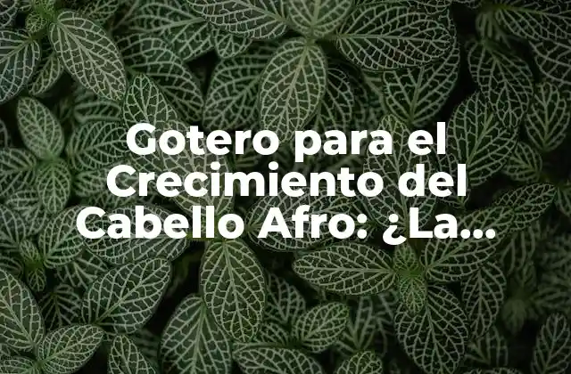 Gotero para el Crecimiento Del Cabello Afro: ¿la Solución para un Pelo Fuerte y Saludable?