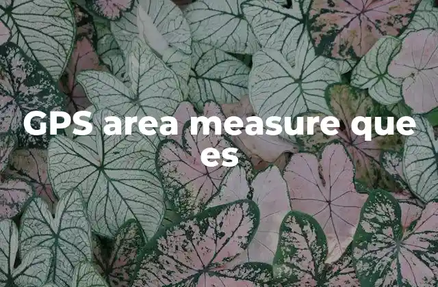 Gps Area Measure que es