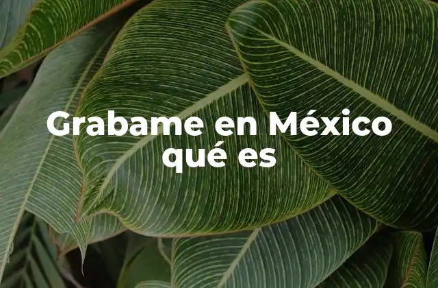Grabame en México Qué es