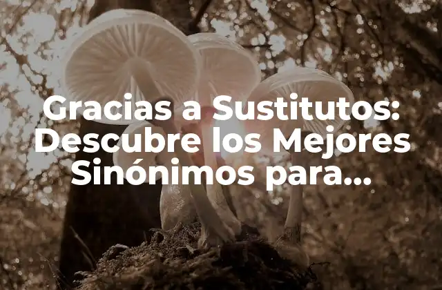 Gracias a Sustitutos: Descubre los Mejores Sinónimos para Expresar Gratitud