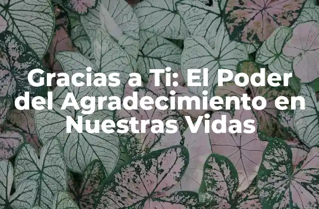 Gracias a Ti: el Poder Del Agradecimiento en Nuestras Vidas 2 La Ciencia detrás del Agradecimiento