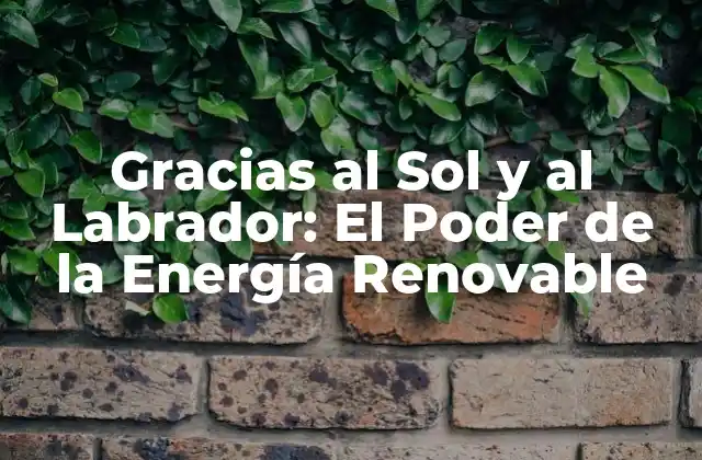 Gracias Al Sol y Al Labrador: el Poder de la Energía Renovable 2 ¿Qué es la Energía Renovable?