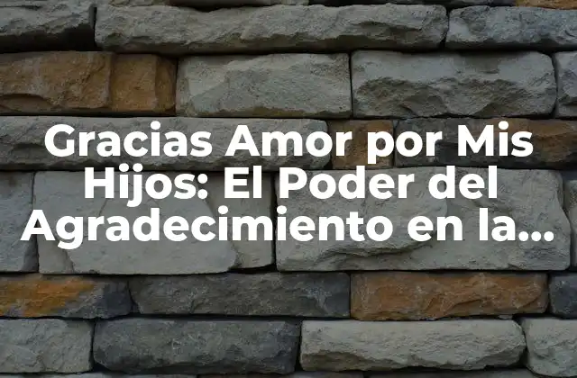 ¿Por qué es Importante la Gratitud en la Familia?