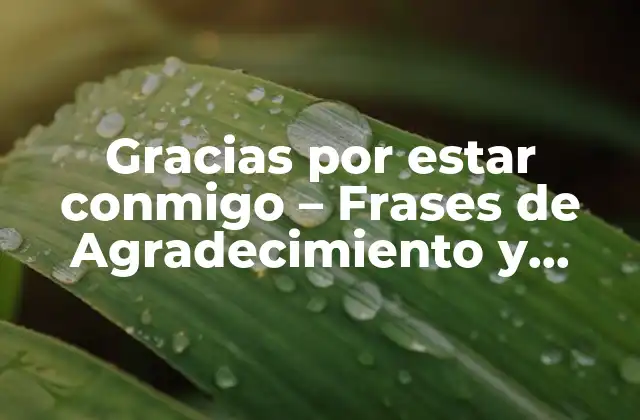 Gracias por Estar Conmigo – Frases de Agradecimiento y Amor