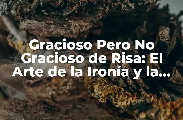 Gracioso pero No Gracioso de Risa: el Arte de la Ironía y la Sátira