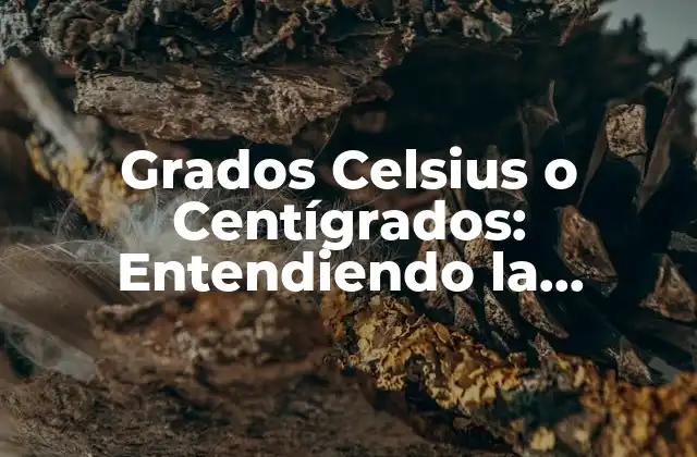 Grados Celsius o Centígrados: Entendiendo la Temperatura