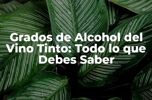 Grados de Alcohol Del Vino Tinto: Todo Lo que Debes Saber