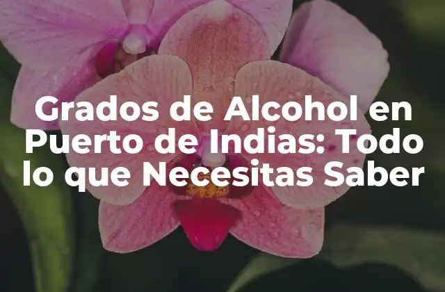Grados de Alcohol en Puerto de Indias: Todo Lo que Necesitas Saber