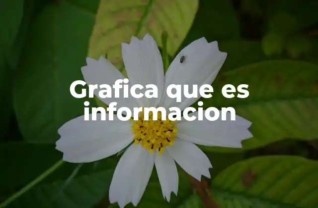 Grafica que es Informacion